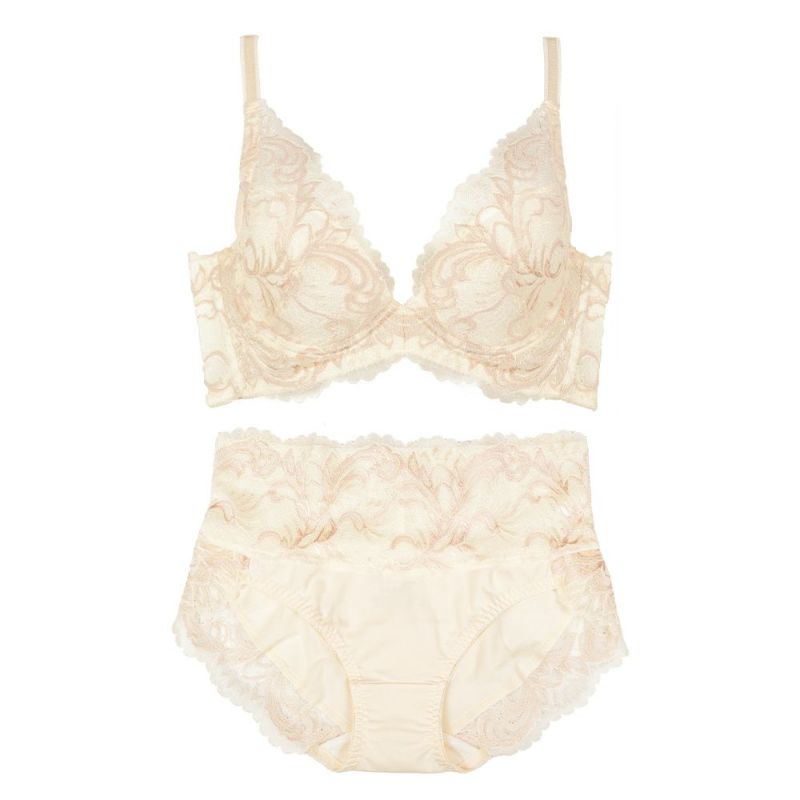 グラモアのブラジャーの画像